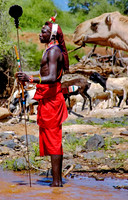 Maasai guide, Kenya